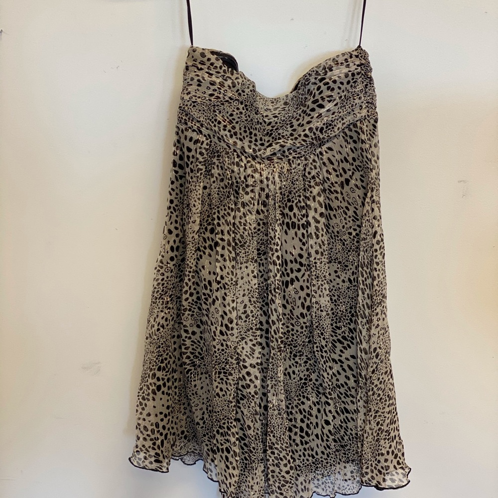 Express Dress - Picture 6 of 7